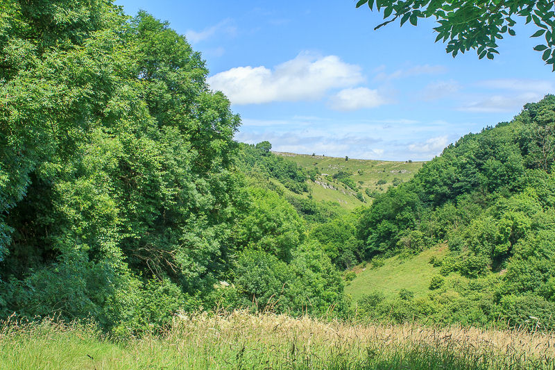 Cressbrook Dale Cressbrook Dale